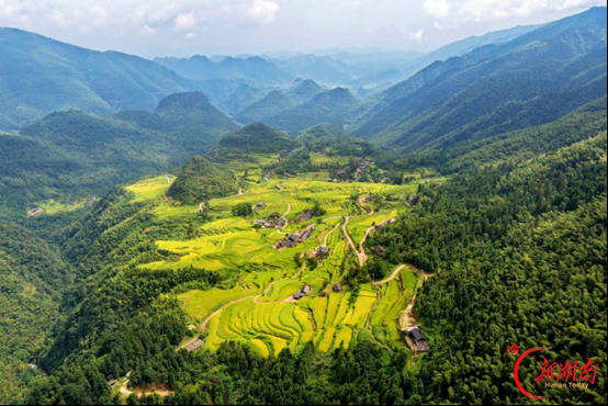 东安：青山伴梯田 山野绘丰景