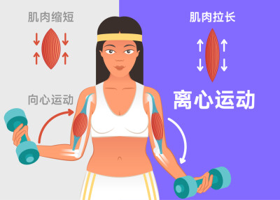 周末·运动丨最被低估的练肌肉运动，5分钟就有效！
