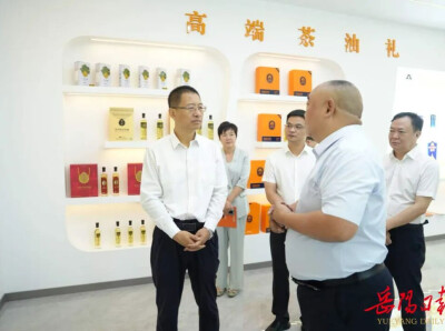 谢卫江在临湘市调研