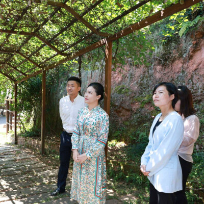 韦朝晖：因地制宜发展乡村特色产业 用心用情用力增进民生福祉