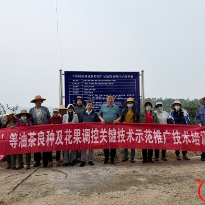中南林科大专家技术培训 赋能澧县油茶产业发展