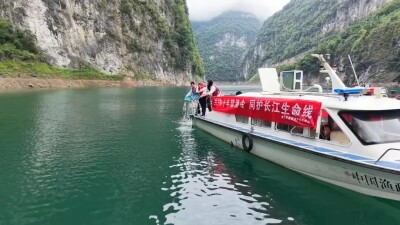 桑植县开展2026年人工增殖放流活动 90.1万尾优质鱼苗畅游河湖