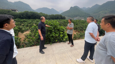 取经问道促振兴