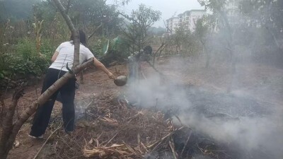 瑞塔铺镇：紧绷禁烧弦 守护金秋丰收季
