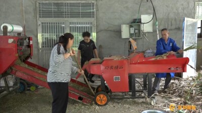 慈利县：抓实秸秆综合利用 促进废料变资源