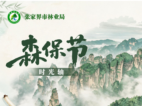 森保节特辑丨一图读懂森保节