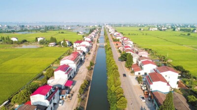 喜迎党代会 岳阳这五年｜五年深耕，岳阳跻身全省“三农”高质量发展第一方阵