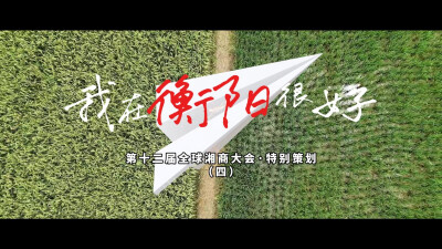 视频丨第十二届全球湘商大会特别策划：我在衡阳很好④