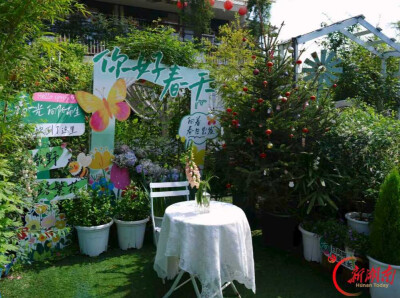 香草、披萨与满坡鲜花，长沙县的秋天藏在这里