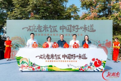 稻香里升起“同心石榴”！长沙这场民族团结集市有吃有看有逛头