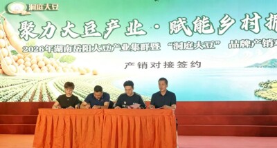 在平江，这粒豆子又扩大了朋友圈