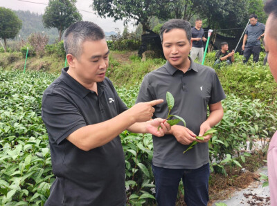 省农科院送“技”到田间，为新型经营主体“充电蓄能”