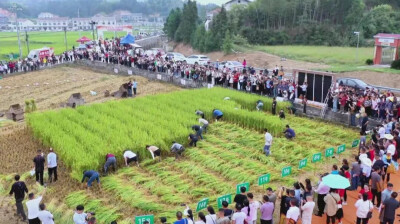 收藏！岳阳县四天三晚游玩攻略，古村、丰收、温泉、红色记忆全都有