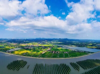 倒数3天！全国首个！来岳阳赏秋呀