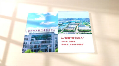 园区服务也有“说明书”？益阳市龙岭产业发展中心这样宠企业！