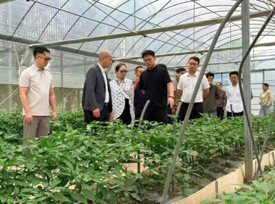 东莞鸿骏集团叶贺年董事长一行来岳考察、洽谈农产品供应链合作