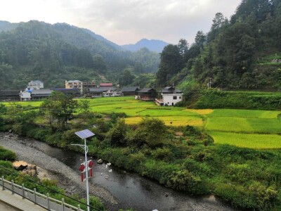 麻阳板栗树乡江溪村开展“零距离”便民服务