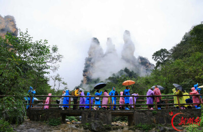 “十一”乐游张家界丨张家界：烟雨峰林间 人在画中游  