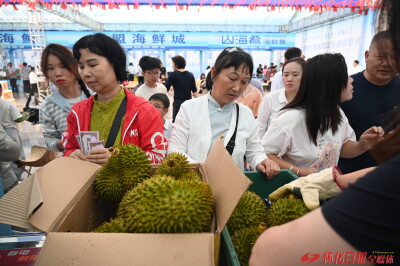 经济微观察丨​东盟好物搬到了家门口