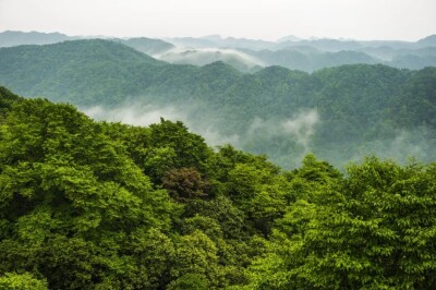 森保节特辑丨栖居澧水边