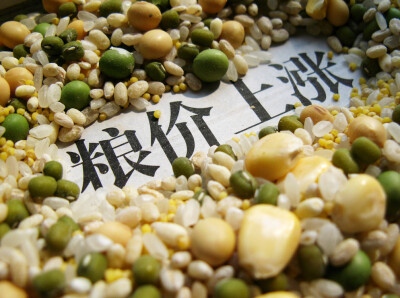 全球粮价为何持续上涨？