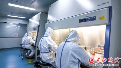 一头“医用猪”串起一条未来产业链