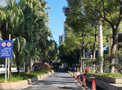 郴江路奥米茄段焕新！草绿了，路平了，树池不绊脚了