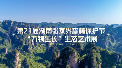万物生长绘生态新景！第21届湖南张家界森林保护节“万物生长”生态艺术展