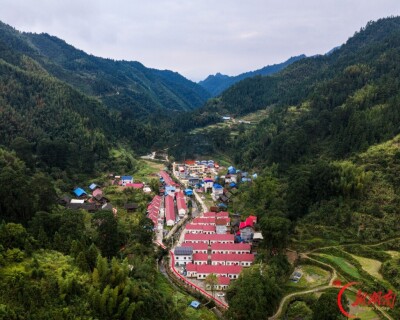 国内唯一！永州深山“朝树古礼”引爆文旅新IP