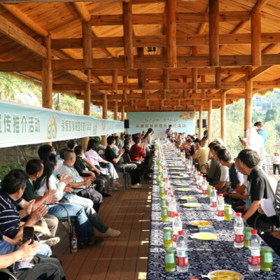 专家现场“开良方”   永顺这场猕猴桃宣推活动直击症结