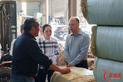 刘勇会赴沅江市调研秸秆综合利用工作时强调：下好秸秆综合利用“先手棋” 真正让秸秆变废为宝 