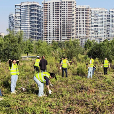 党建引领护碧水绿地，联动清除“生态杀手”