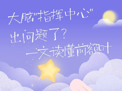 今天起，请尊重一下你的前额叶！