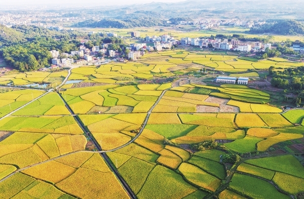 湖南日报图片新闻丨秋日嘉禾乡村景如画