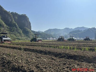 沅陵：抢抓秋冬农时 油菜生产全面铺开