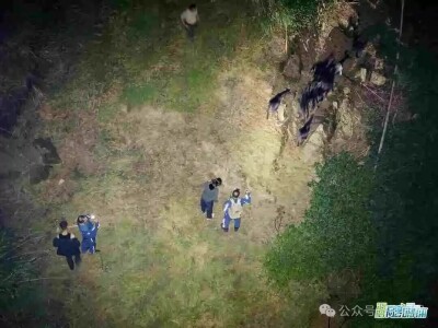 老人寝食难安，15只羊去哪了？汨罗这场搜寻，科技感拉满