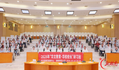 智能时代，中华语言文化海外传承如何破局？