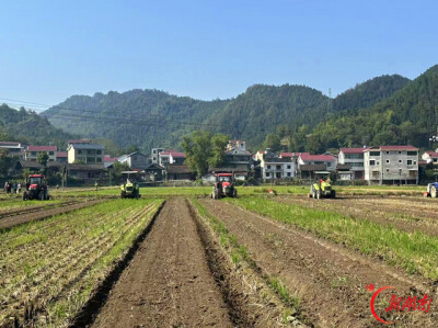 沅陵：抢抓秋冬农时 全面铺开油菜生产