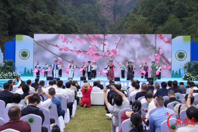 九天峰恋景区全力保障第21届张家界森林保护节顺利启幕
