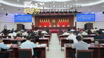 全力建设现代服务业示范区 天心区服务业大会召开