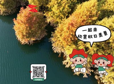 跟着走娃游资兴⑥丨水杉红了，来白廊坡赏一幅秋日油画