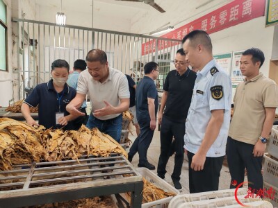 安仁县牌楼乡：“全链条”管护“金叶子”，稳稳托起群众“钱袋子”