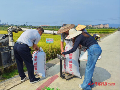 科技赋能稻花香——怀化职院水稻绿色防控示范项目测产验收