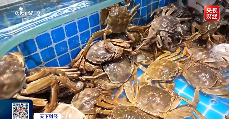 价格接近腰斩 你爱吃的它，集体降价了