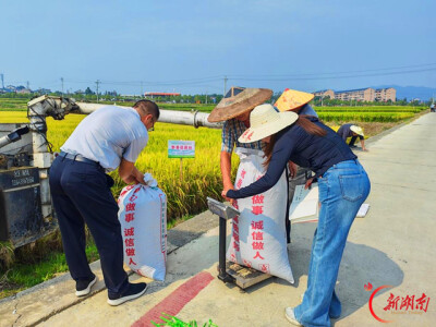 怀化职院：打造水稻绿色生产、稳产增收技术样板