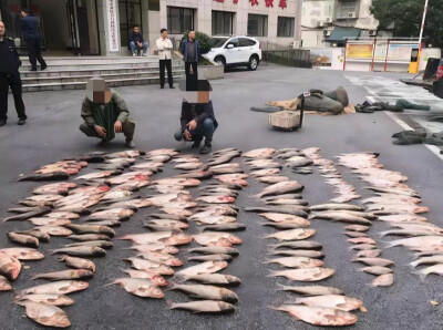 凌晨出击！岳阳多部门联合执法查获一起非法捕捞案