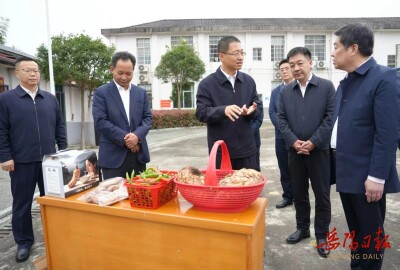 谢卫江在平江县、岳阳县调研农业农村工作