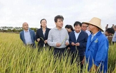 亩产632.6公斤！屈原千亩稻虾田实现"一田双收"