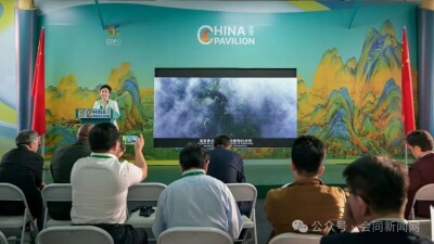 山林里的中国方案，湖南会同在COP17分享立体共生保护实践