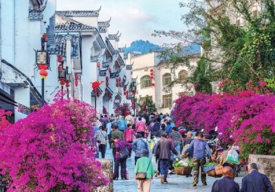 湖南日报·视觉丨资兴市黄草镇：三角梅立体景观扮靓“潇湘风情水镇”